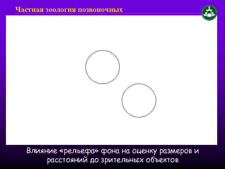 Частная зоология позвоночных Влияние «рельефа» фона на оценку размеров и расстояний до зрительных объектов