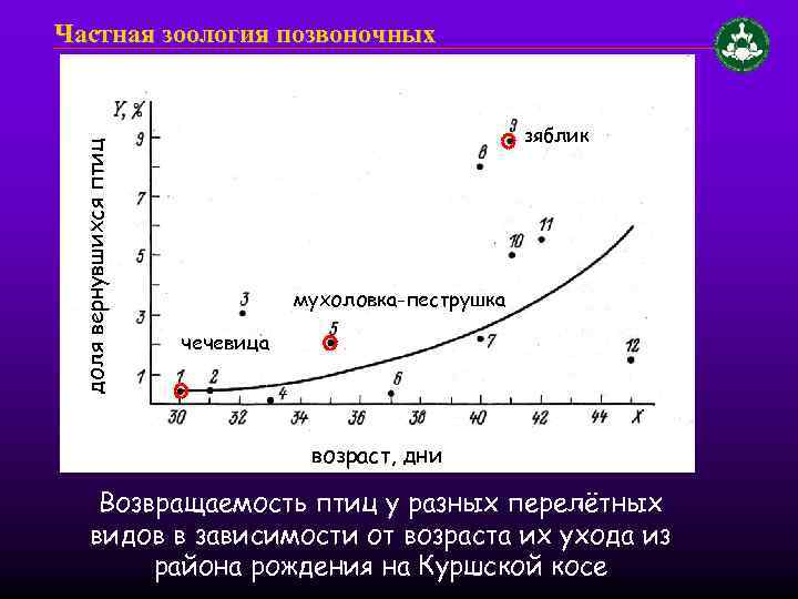 доля вернувшихся птиц Частная зоология позвоночных зяблик мухоловка-пеструшка чечевица возраст, дни Возвращаемость птиц у