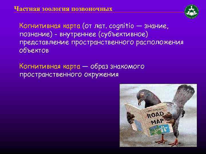 Частная зоология позвоночных Когнитивная карта (от лат. cognitio — знание, познание) - внутреннее (субъективное)