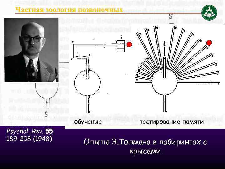 Частная зоология позвоночных Edward Tolman (1886 -1959) Cognitive maps in rats and men //