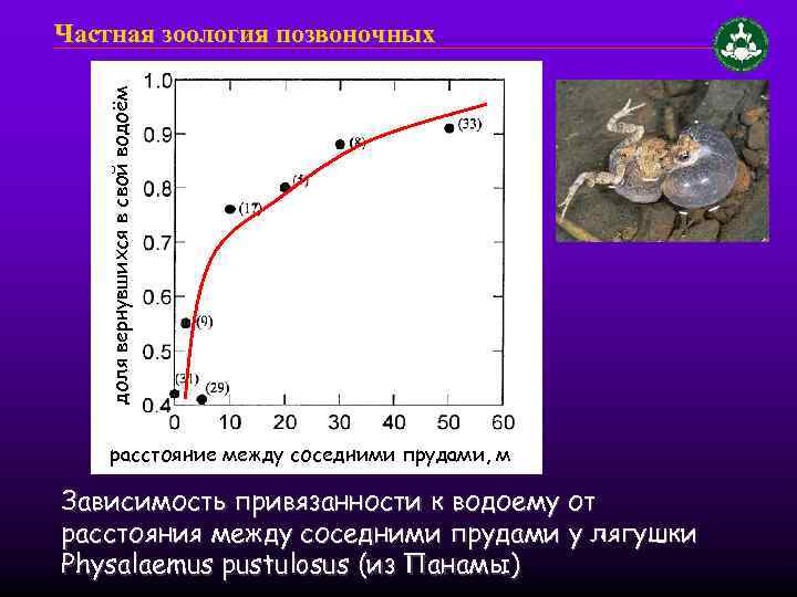 доля вернувшихся в свой водоём Частная зоология позвоночных расстояние между соседними прудами, м Зависимость