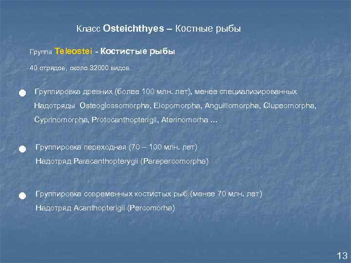 Класс Osteichthyes – Костные рыбы Группа Teleostei - Костистые рыбы 40 отрядов, около 32000