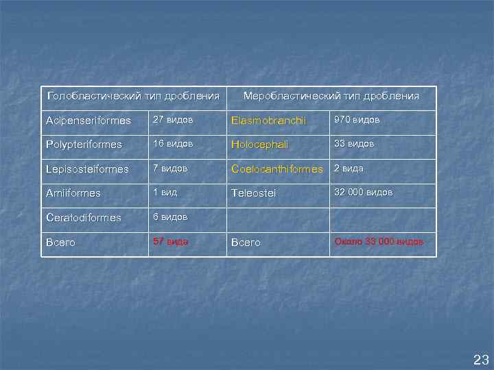 Голобластический тип дробления Меробластический тип дробления Acipenseriformes 27 видов Elasmobranchii 970 видов Polypteriformes 16