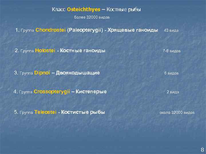 Класс Osteichthyes – Костные рыбы более 32000 видов 1. Группа Chondrostei (Paleopterygii) - Хрящевые