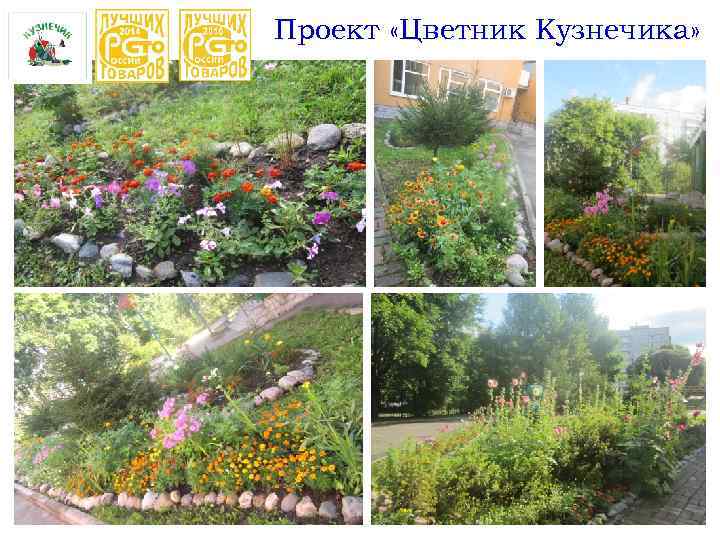 Проект «Цветник Кузнечика» 