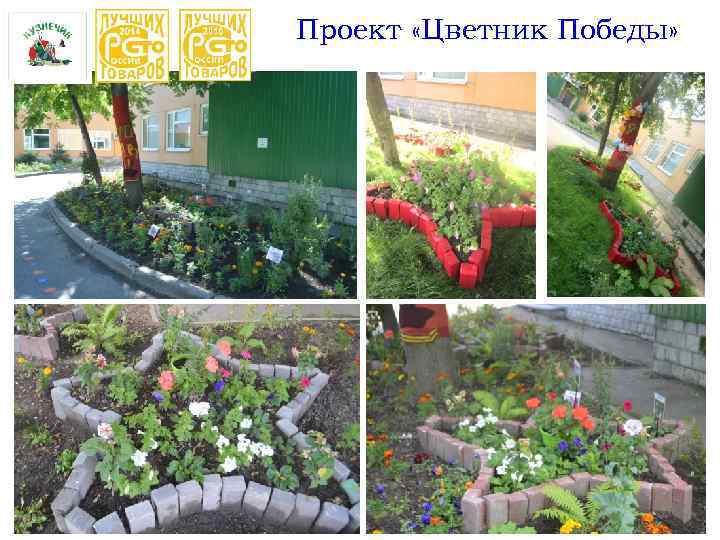 Проект «Цветник Победы» 