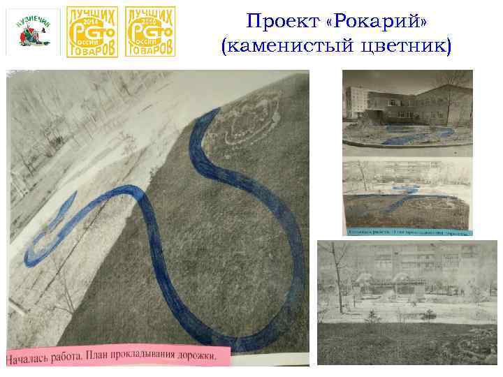 Проект «Рокарий» (каменистый цветник) 