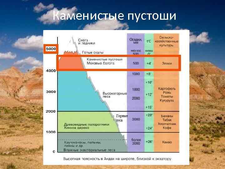 Каменистые пустоши 
