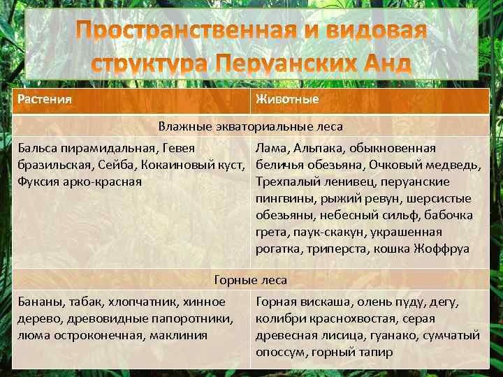 Растения Животные Влажные экваториальные леса Бальса пирамидальная, Гевея Лама, Альпака, обыкновенная бразильская, Сейба, Кокаиновый