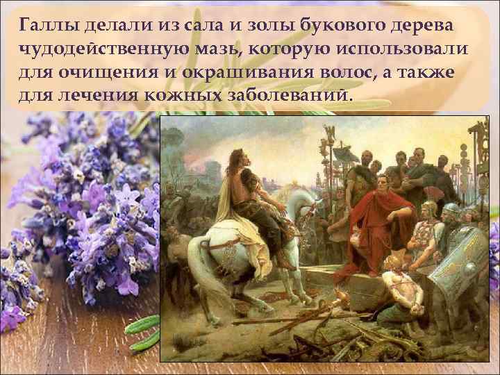 Галлы делали из сала и золы букового дерева чудодейственную мазь, которую использовали для очищения