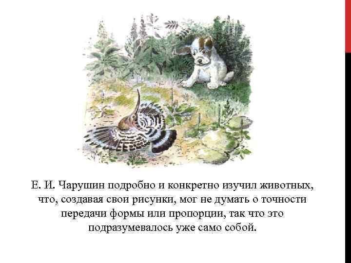 Е. И. Чарушин подробно и конкретно изучил животных, что, создавая свои рисунки, мог не