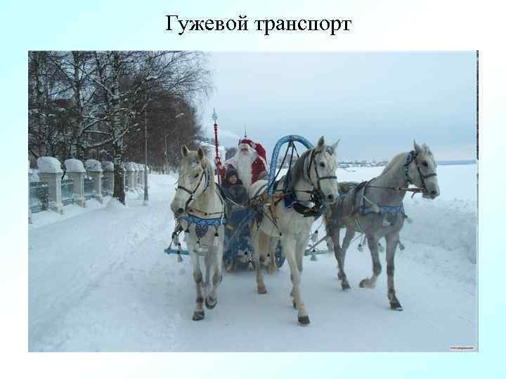 Гужевой транспорт 