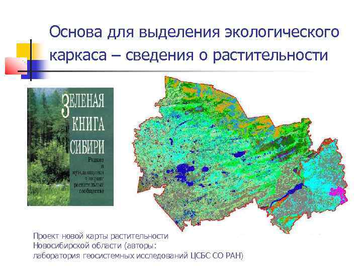 Основа для выделения экологического каркаса – сведения о растительности Проект новой карты растительности Новосибирской