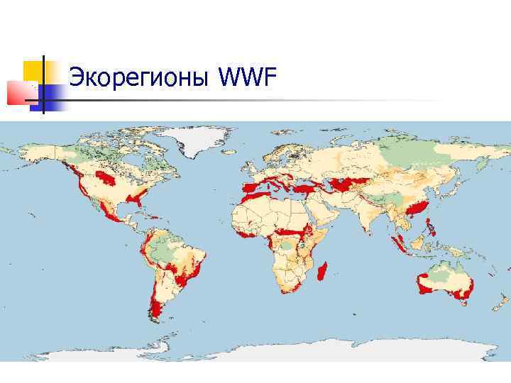 Экорегионы WWF 