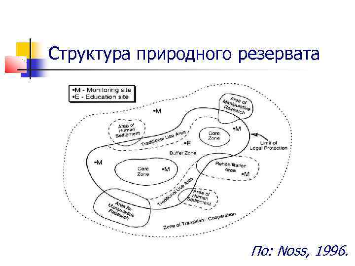 Структура природного резервата По: Noss, 1996. 