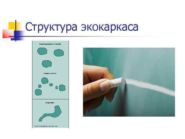 Структура экокаркаса 