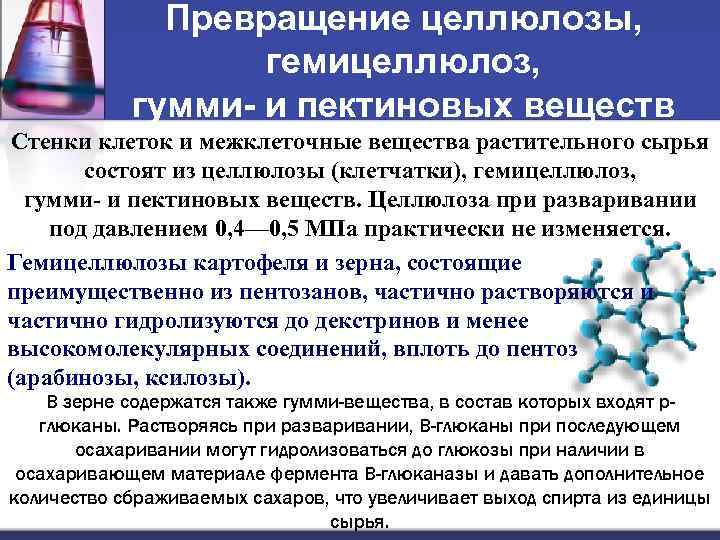 Превращение целлюлозы, гемицеллюлоз, гумми и пектиновых веществ Стенки клеток и межклеточные вещества растительного сырья