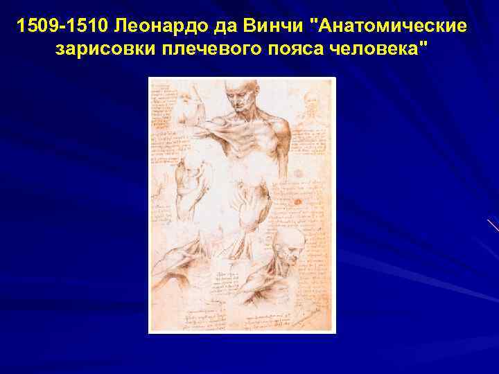 1509 -1510 Леонардо да Винчи 