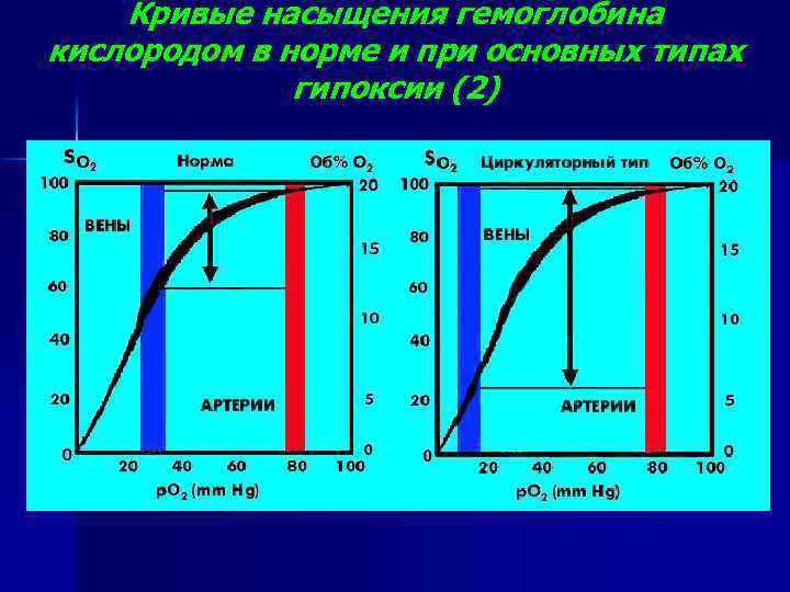 Кривые насыщения гемоглобина кислородом в норме и при основных типах гипоксии (2) 