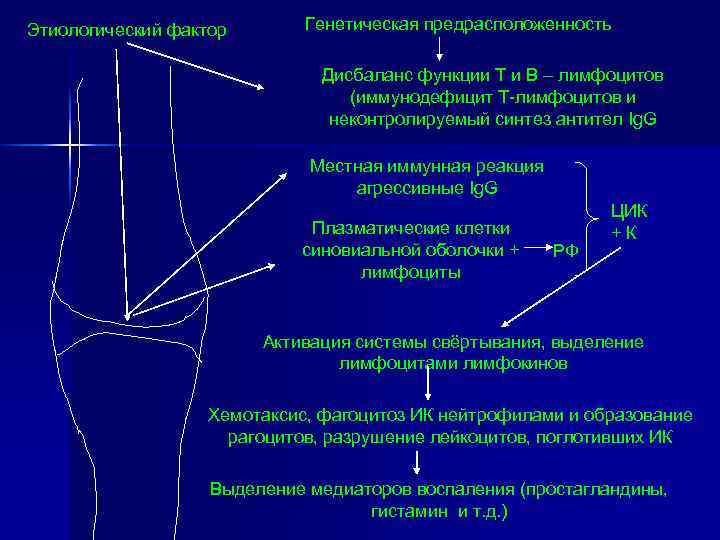 Этиологический фактор Генетическая предрасположенность Дисбаланс функции Т и В – лимфоцитов (иммунодефицит Т-лимфоцитов и