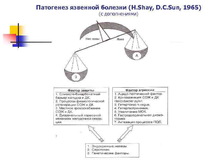 Патогенез язвенной болезни (H. Shay, D. C. Sun, 1965) (с дополнениями) 