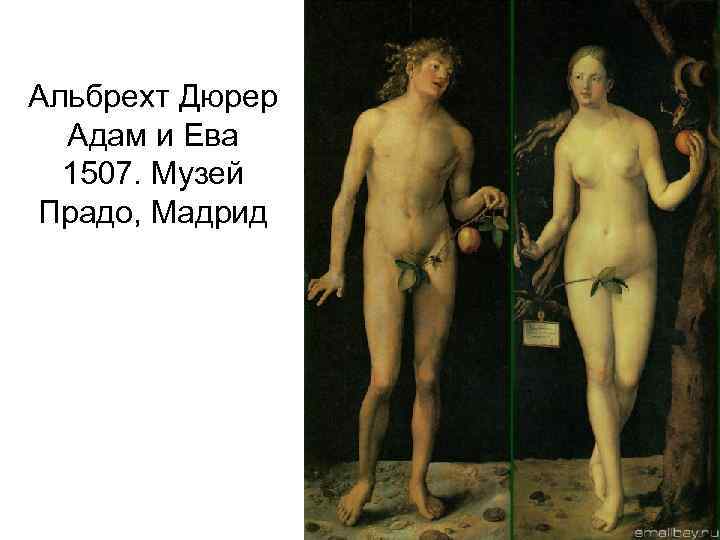 Альбрехт Дюрер Адам и Ева 1507. Музей Прадо, Мадрид 