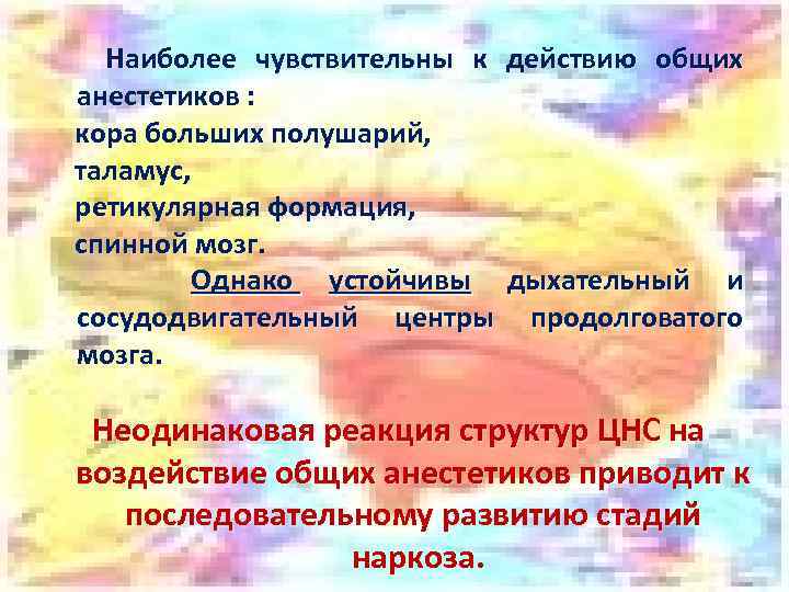  Наиболее чувствительны к действию общих анестетиков : кора больших полушарий, таламус, ретикулярная формация,