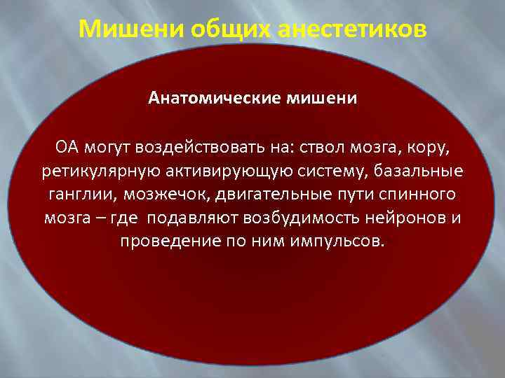 Мишени общих анестетиков Анатомические мишени ОА могут воздействовать на: ствол мозга, кору, ретикулярную активирующую