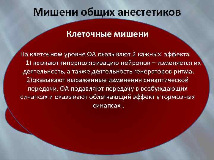 Мишени общих анестетиков Клеточные мишени Анатомические мишени На клеточном уровне ОА оказывают 2 важных