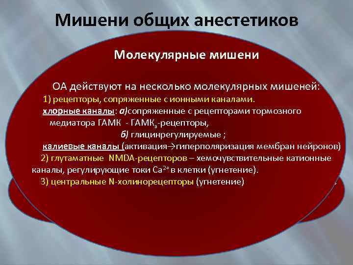 Мишени общих анестетиков Молекулярные мишени Анатомические мишени ОА действуют на несколько молекулярных мишеней: 1)