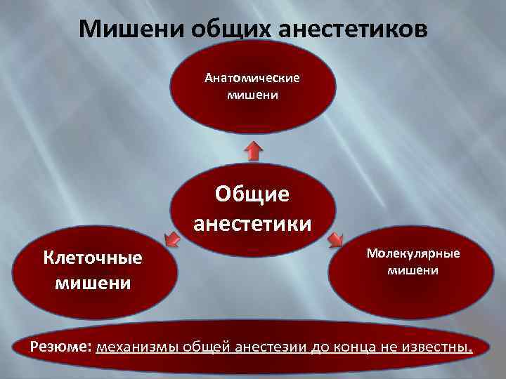 Мишени общих анестетиков Анатомические мишени Общие анестетики Клеточные мишени Молекулярные мишени Резюме: механизмы общей