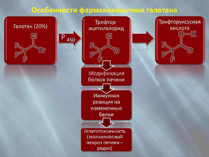 Особенности фармакокинетики галотана P 450 