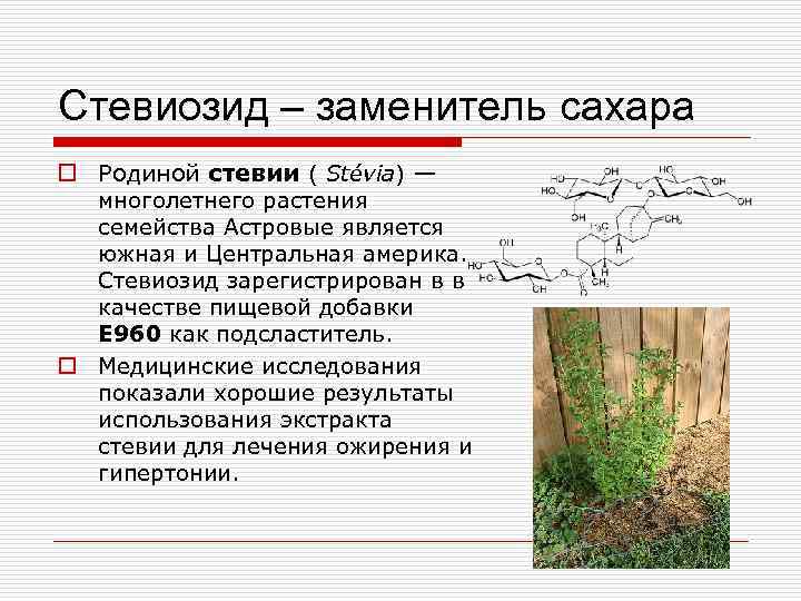 Стевиозид – заменитель сахара o Родиной стевии ( Stévia) — многолетнего растения семейства Астровые