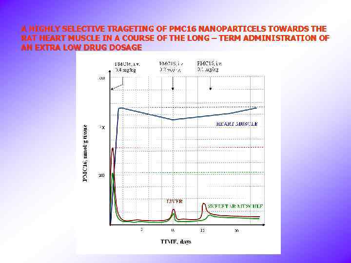 A HIGHLY SELECTIVE TRAGETING OF PMC 16 NANOPARTICELS TOWARDS THE RAT HEART MUSCLE IN