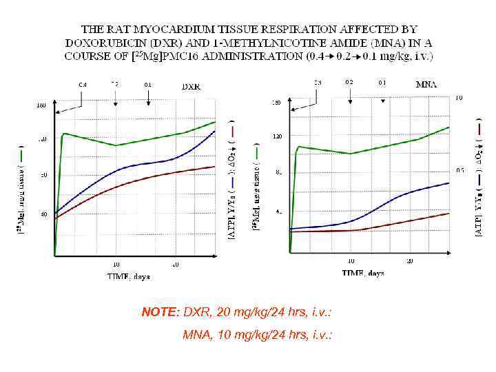 NOTE: DXR, 20 mg/kg/24 hrs, i. v. : MNA, 10 mg/kg/24 hrs, i. v.