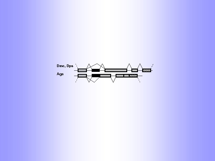 Dme, Dps Aga 