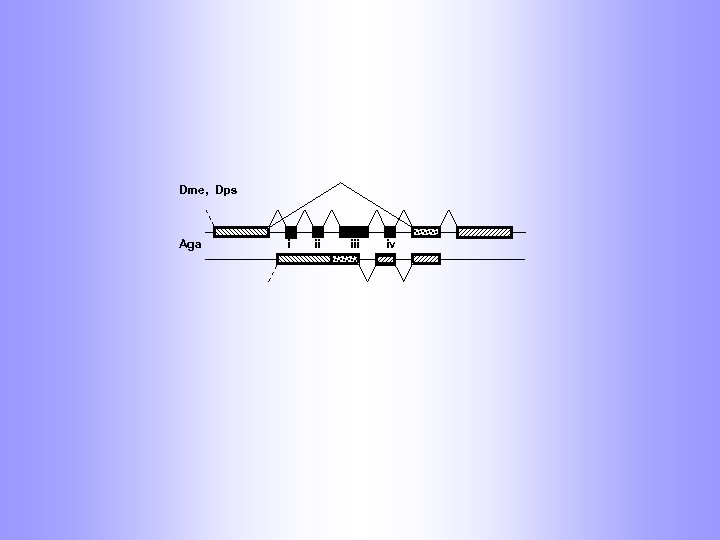 Dme, Dps Aga i ii iv 