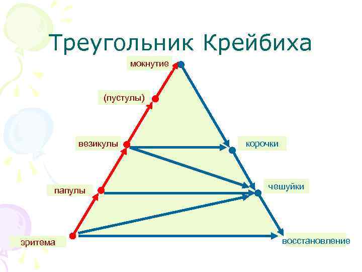 Треугольник крейбиха гистологическая картина