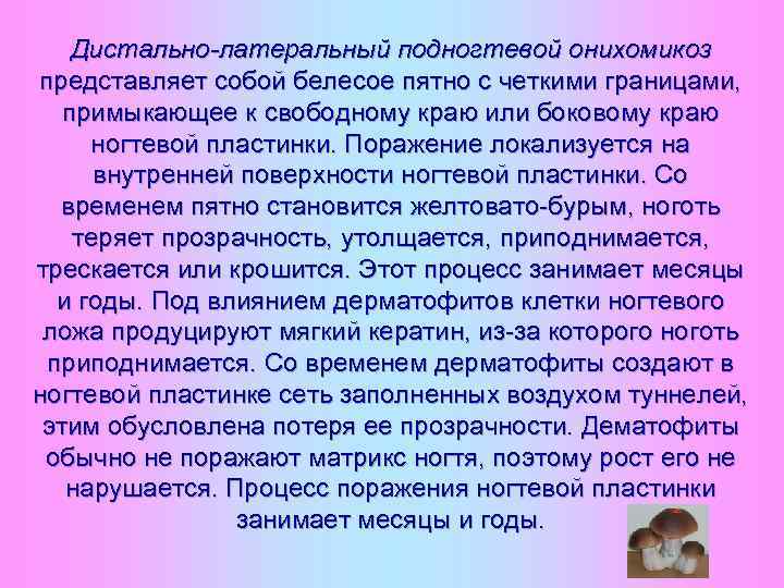 Дистально-латеральный подногтевой онихомикоз представляет собой белесое пятно с четкими границами, примыкающее к свободному краю