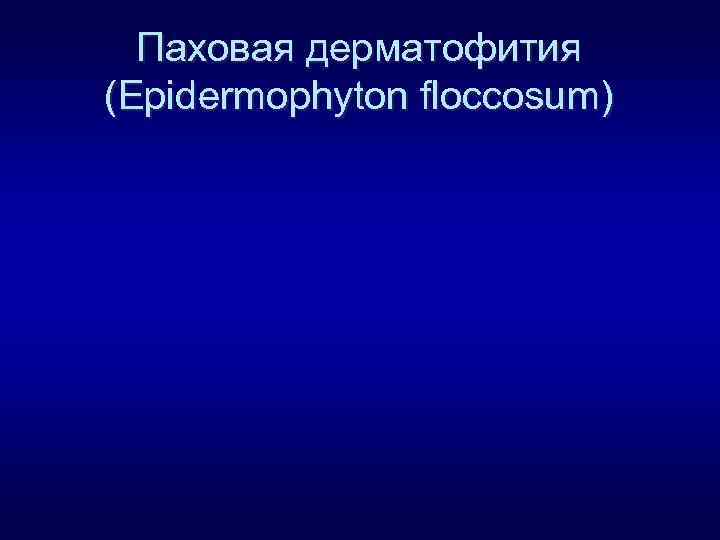 Паховая дерматофития (Epidermophyton floccosum) 