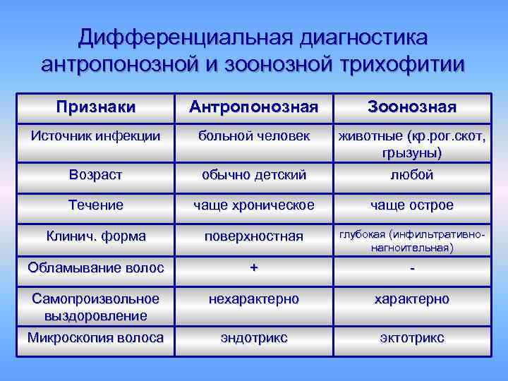 Дифференциальная диагностика антропонозной и зоонозной трихофитии Признаки Антропонозная Зоонозная Источник инфекции больной человек животные