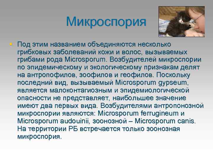 Микроспория § Под этим названием объединяются несколько грибковых заболеваний кожи и волос, вызываемых грибами