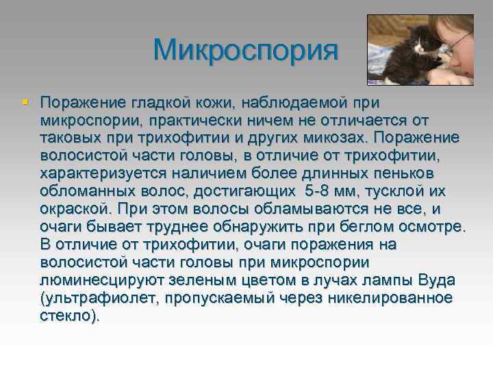 Микроспория § Поражение гладкой кожи, наблюдаемой при микроспории, практически ничем не отличается от таковых