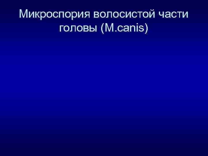 Микроспория волосистой части головы (M. canis) 