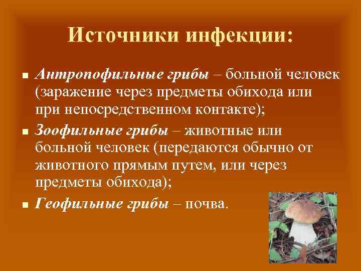 Источники инфекции: n n n Антропофильные грибы – больной человек (заражение через предметы обихода