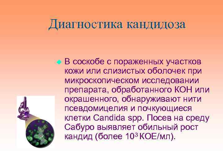 Диагностика кандидоза u В соскобе с пораженных участков кожи или слизистых оболочек при микроскопическом