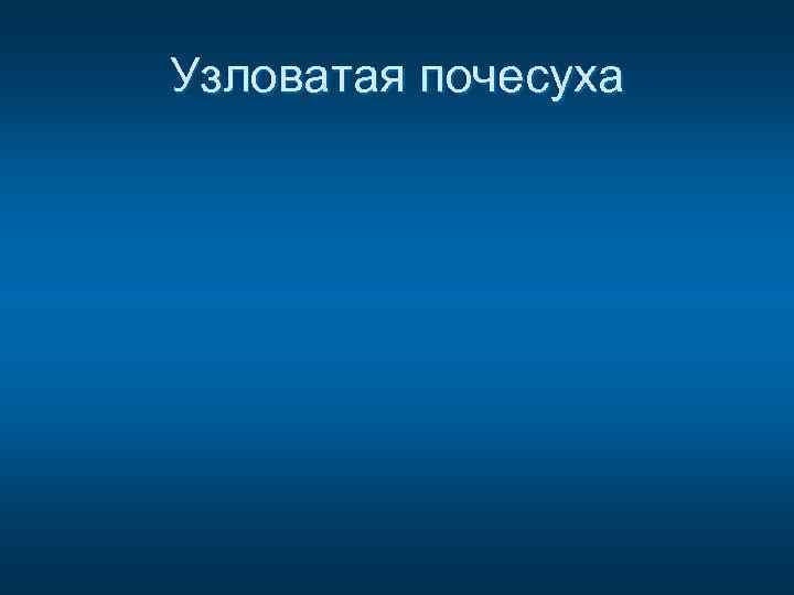 Узловатая почесуха 