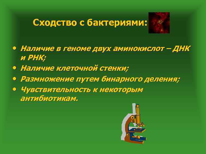 Сходство с бактериями: • Наличие в геноме двух аминокислот – ДНК • • •