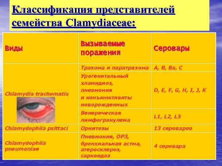 Классификация представителей