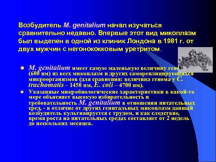 Возбудитель M. genitalium начал изучаться сравнительно недавно. Впервые этот вид микоплазм был выделен в